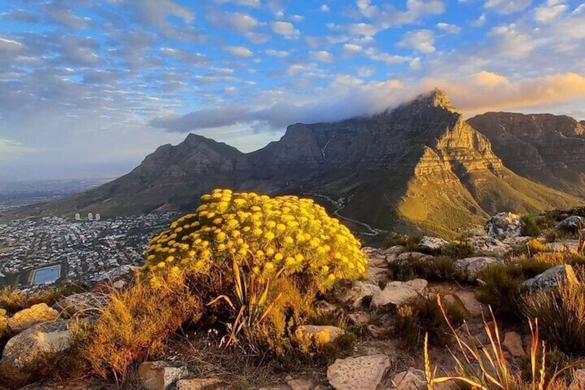 Hike Lion's Head Sunset Tour
