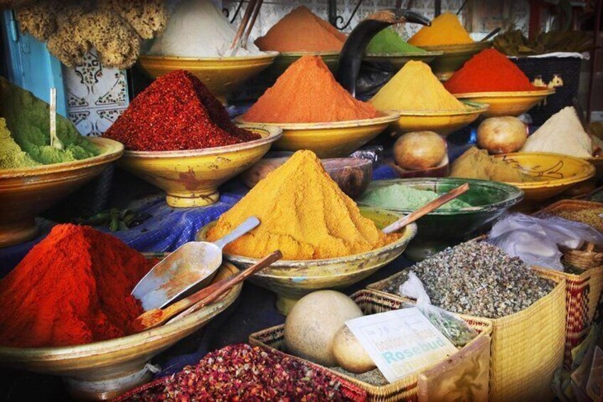 Tangier: Spicies
