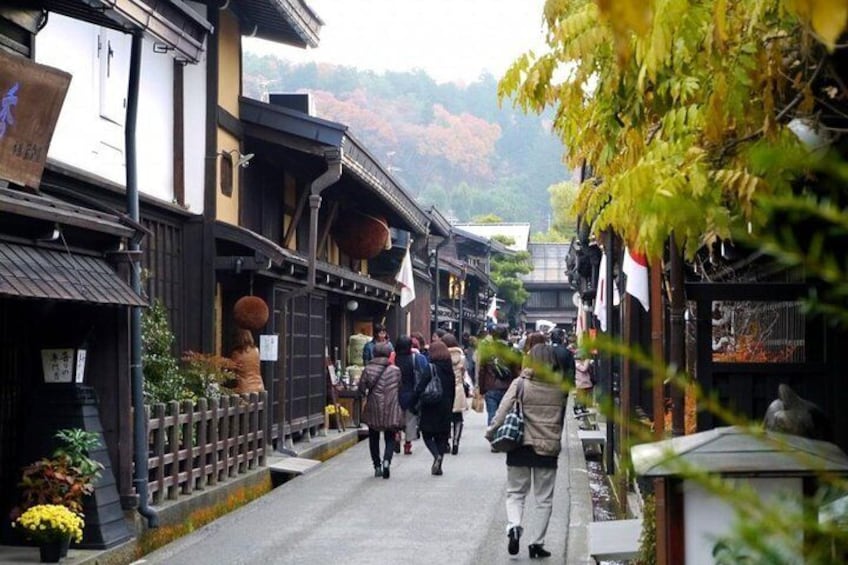 2-Day Snow Monkey Tour: Nagano to Takayama via Matsumoto