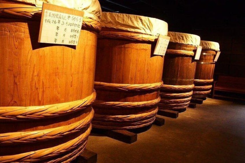 2-Day Snow Monkey Tour: Nagano to Takayama via Matsumoto