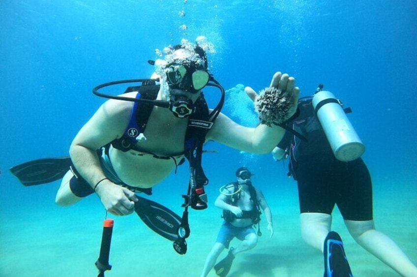 Beginner Scuba Diving Tour ***NO EXPERIENCE NEEDED***