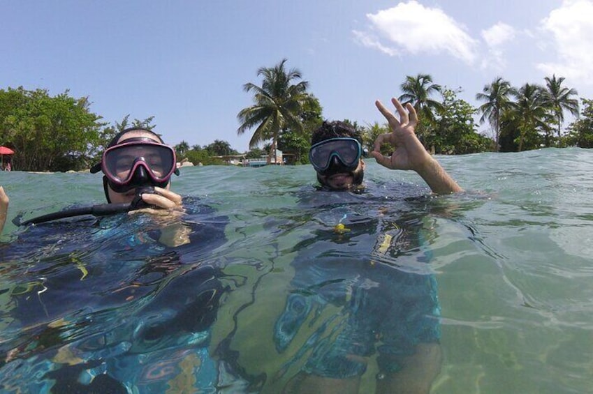 Beginner Scuba Diving Tour ***NO EXPERIENCE NEEDED***