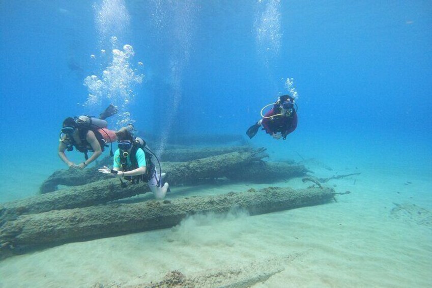Beginner Scuba Diving Tour ***NO EXPERIENCE NEEDED***