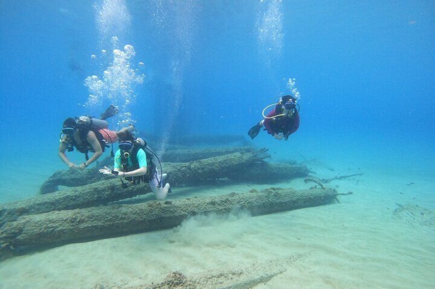 Beginner Scuba Diving Tour ***NO EXPERIENCE NEEDED***