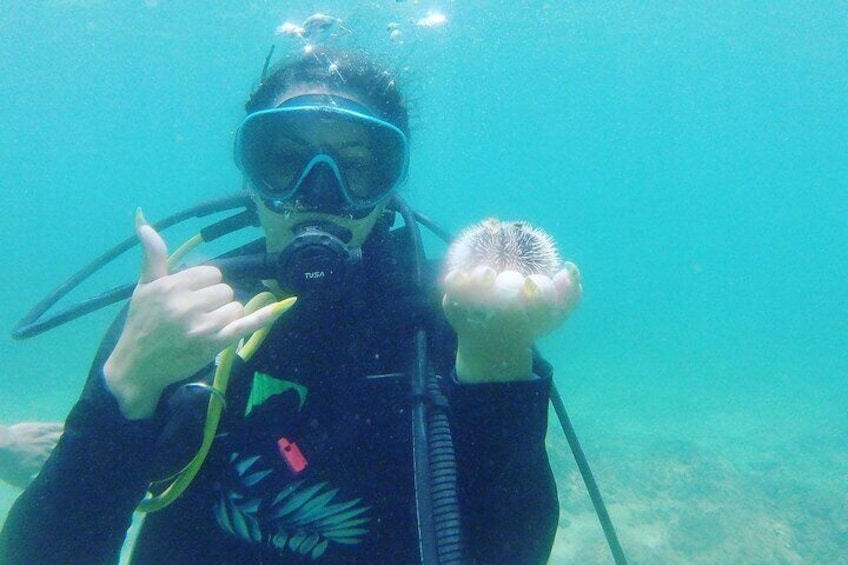Beginner Scuba Diving Tour ***NO EXPERIENCE NEEDED***