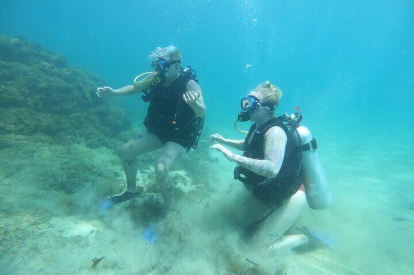 Beginner Scuba Diving Tour ***NO EXPERIENCE NEEDED***