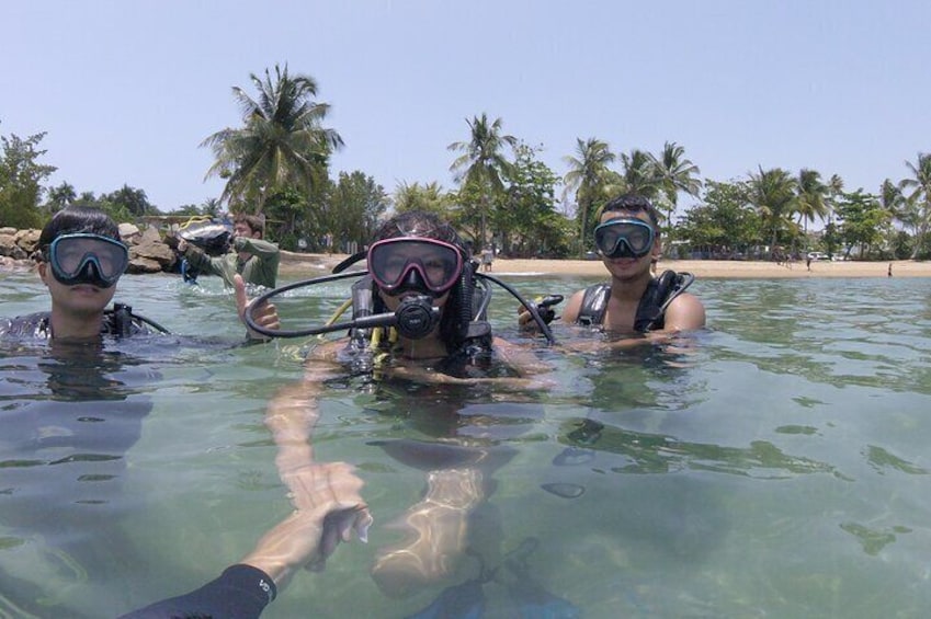 Beginner Scuba Diving Tour ***NO EXPERIENCE NEEDED***
