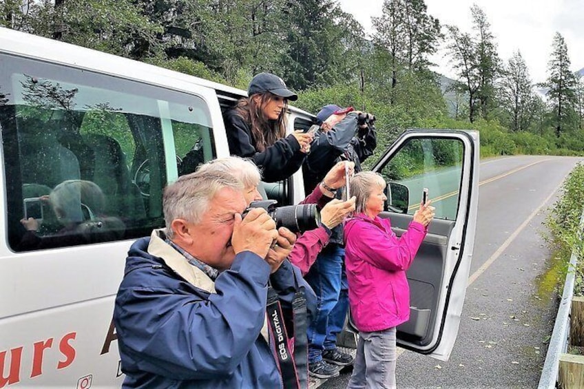 11 am Wilderness, Wildlife, Glacier Experience from Anchorage