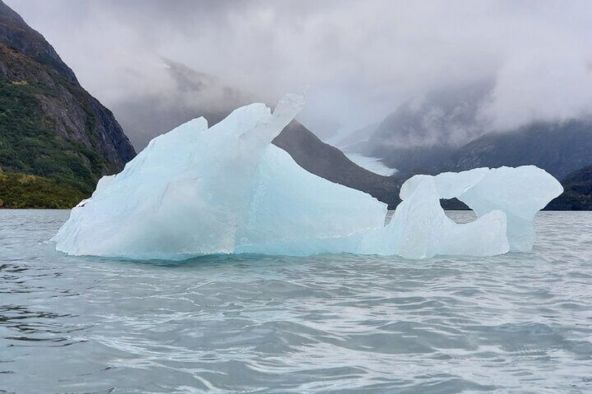 Wilderness, Wildlife, Glacier Experience with Portage Glacier Cruise