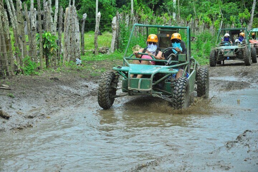 Eco Farm, Horseback Riding, City Tour , Buggy, and Zipline