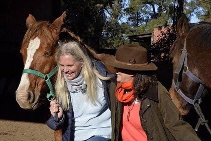 Coaching With Horses in Buenos Aires, Argentina