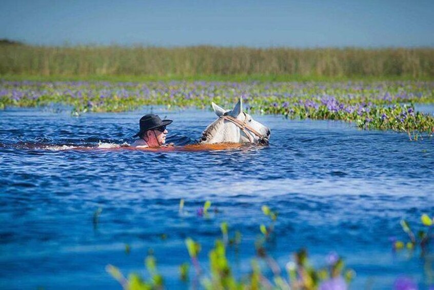 Show item 1 of 9. Horseback Riding & Swimming in Esteros del Iberá, Argentina