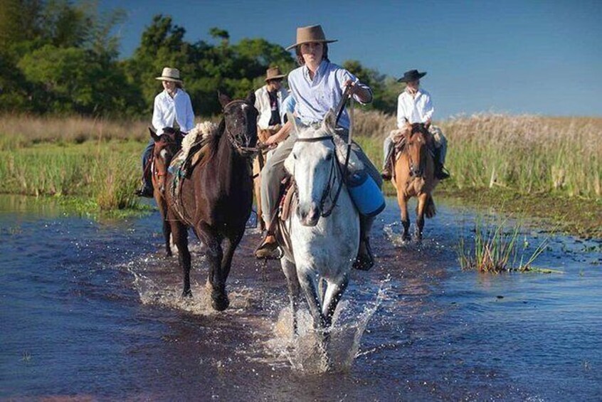 Show item 2 of 9. Horseback Riding & Swimming in Esteros del Iberá, Argentina