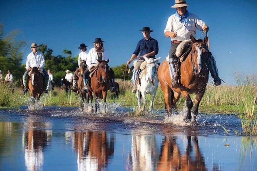 Show item 5 of 9. Horseback Riding & Swimming in Esteros del Iberá, Argentina