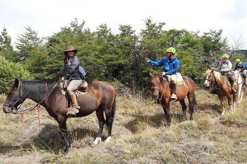 Horseback Riding in Lolog Lake near San Martín de los Andes