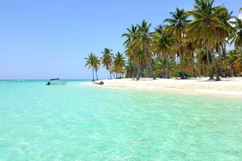 All-Inclusive Saona Island Full Day Trip and Catamaran Cruise from Santo Domingo