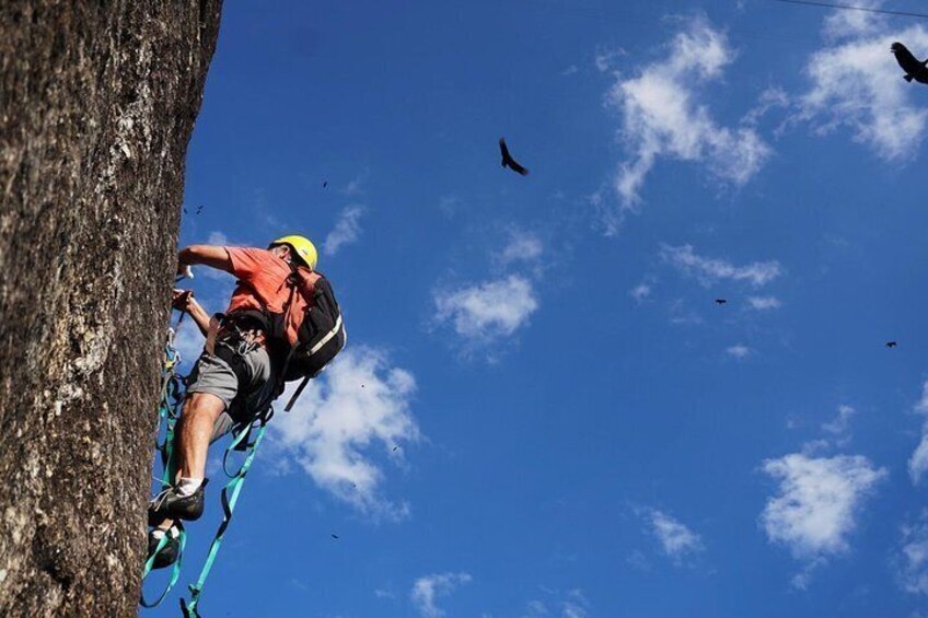 Rock climbing in Rio de Janeiro
