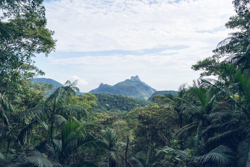 Discover Rio Green Lungs: Tijuca National Park