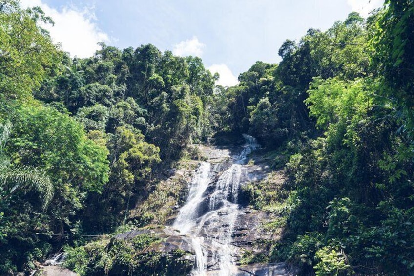 Explore Tijuca National Park: Rio Green Lungs