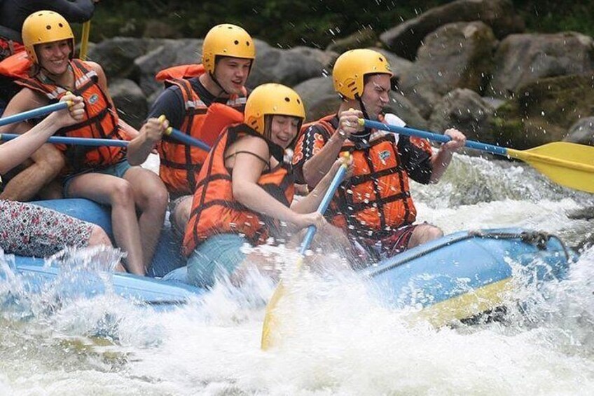Whitewater rapids