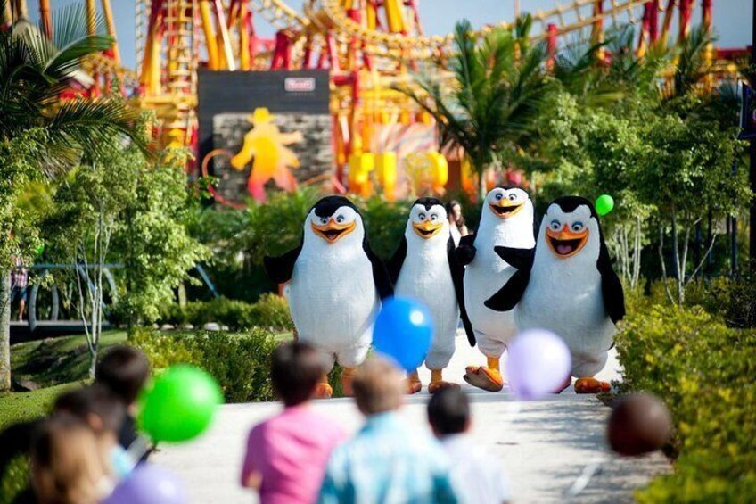 Round Trip Beto Carrero World from Balneario Camboriu