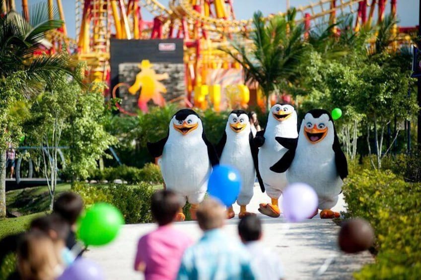 Round Trip Beto Carrero World from Balneario Camboriu