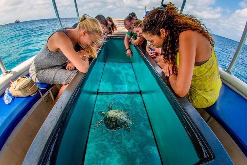 2 Hour Glass bottom reef and snorkel tour to Klein Bonaire