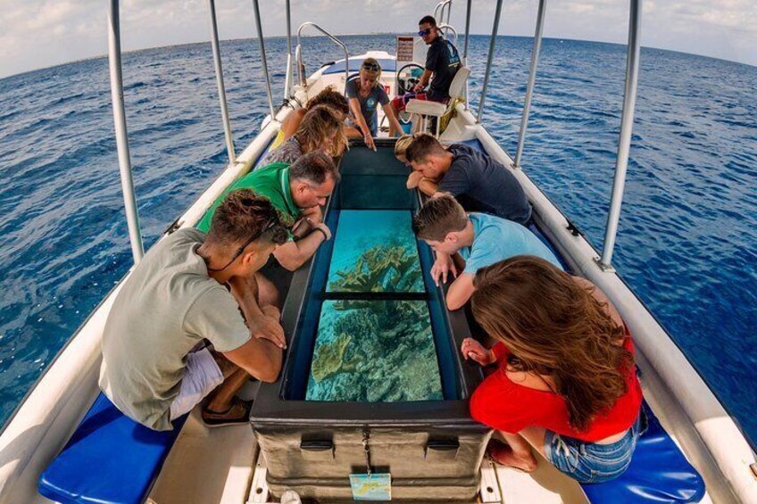 2 Hour Glass bottom reef and snorkel tour to Klein Bonaire