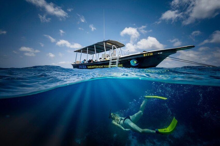 2 Hour Glass bottom reef and snorkel tour to Klein Bonaire