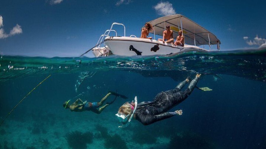 Snorkel trip to Klein Bonaire