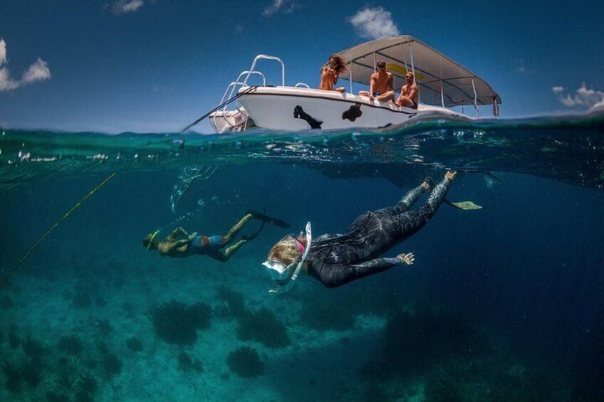 Snorkel trip to Klein Bonaire