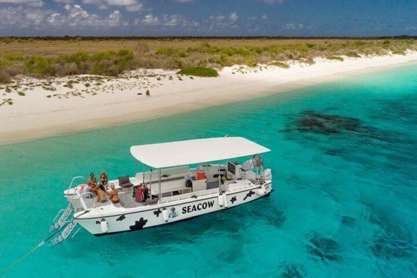 Snorkel trip boat