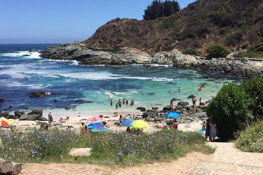 Penguins Island in Cachagua + Zapallar Coastal (FROM VALPARAISO PRIVATE TOUR)