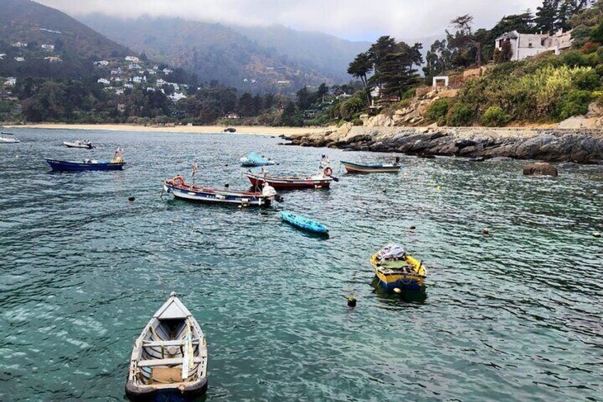 Penguins Watching Navigation Cachagua Island Zapallar F. SANTIAGO