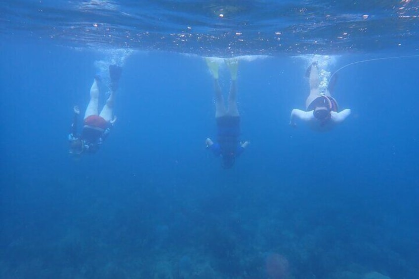 Private Rincon Snorkeling Adventure