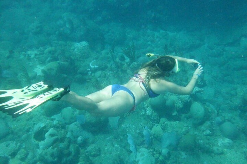 Private Rincon Snorkeling Adventure