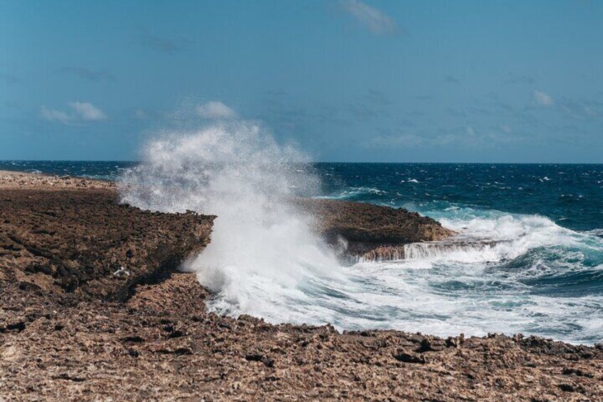 Curaçao Island Tour