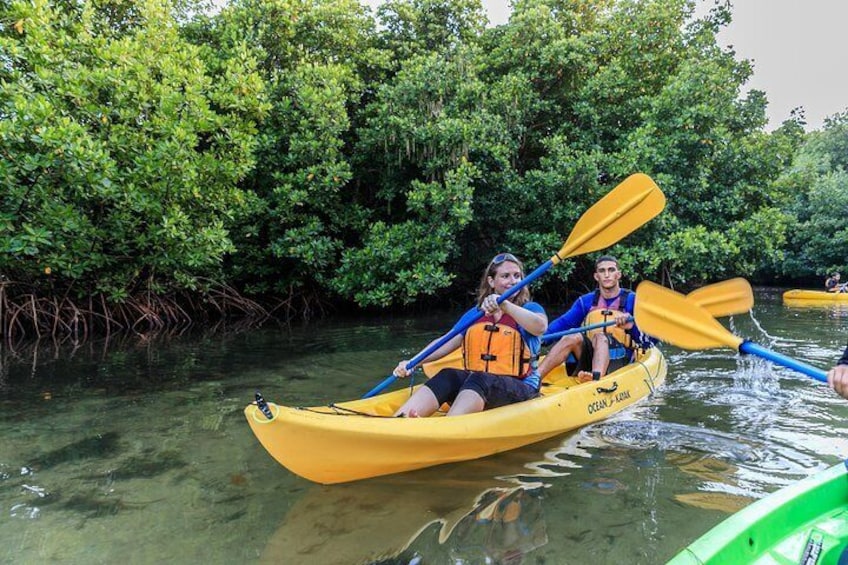 Entrance Mangrove Forest