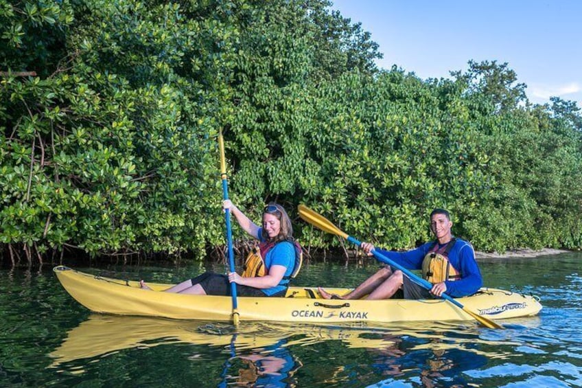 Bio Bay Night Kayaking Tour