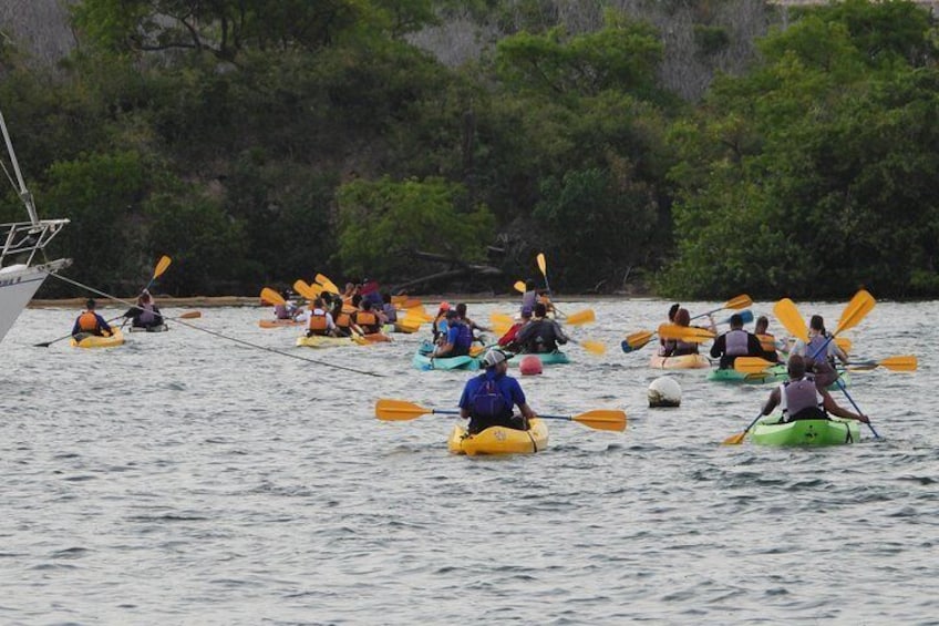 Bio Bay Night Kayaking Tour