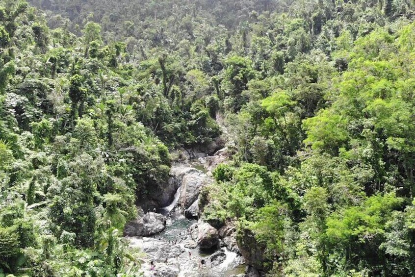 Rainforest Nature Walk & Bio Bay Night Kayaking Combo with Transportation