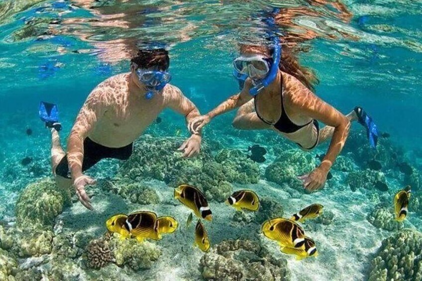 Private Party Boat with Snorkeling in Punta Cana (Half Day)