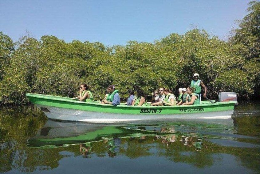 Paradise Island Cayo Arena & Mangroves from Puerto Plata (Full Day)