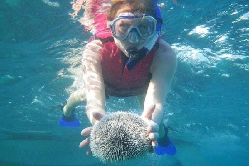 Scuba Doo Underwater Scooter in Punta Cana (Half Day)