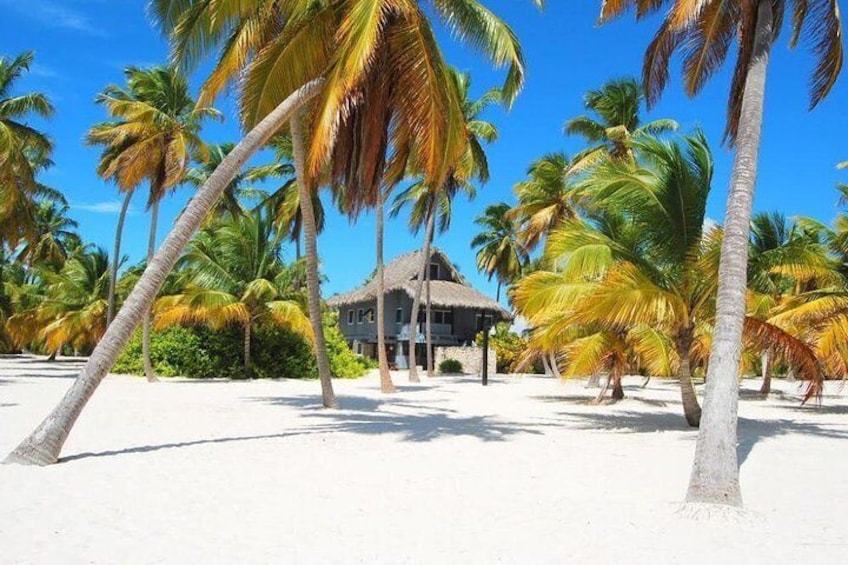 Saona Island VIP - Full Day All Inclusive Excursion!