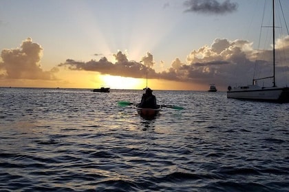 West Coast Sunset Clear Kayak Tour