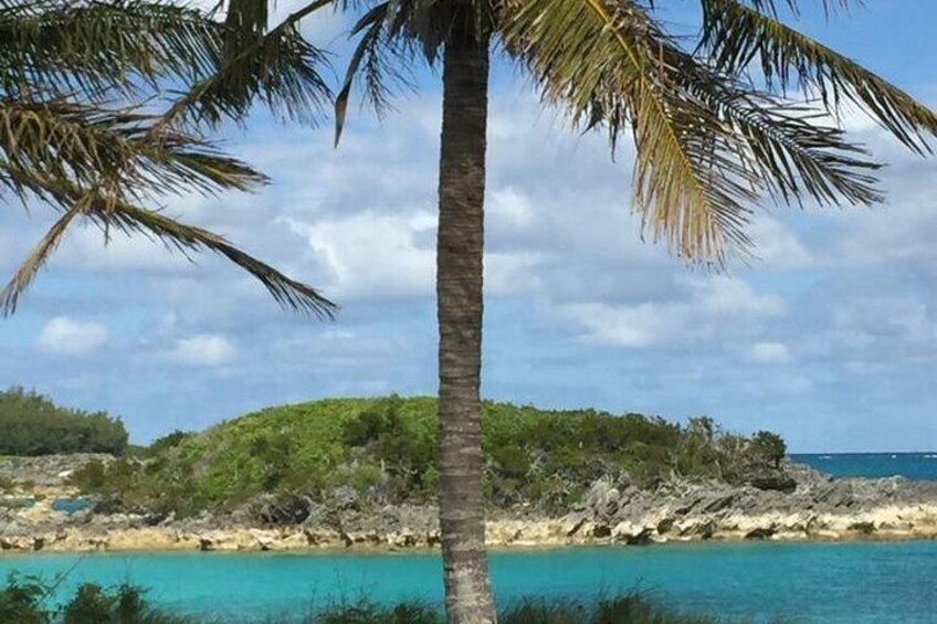 Bermuda Horseshoe Bay Beach Nature Trail Tour