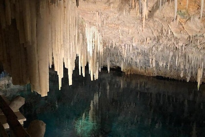 Bermuda Aquarium and Crystal Caves Admission