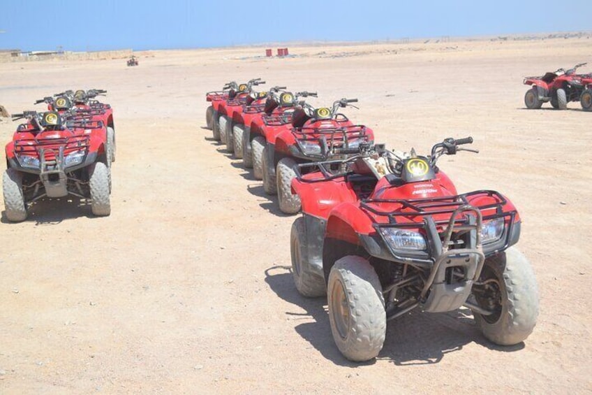 3 Hours Safari By ATV Quad Morning or Afternoon With Camel Ride - Marsa Alam