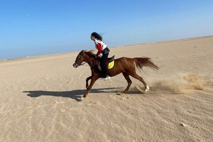 Horseback Riding Tour Desert & Beach at Nabq bay - Sharm ElSheikh